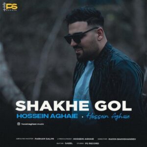 شاخه گل - حسین آقایی