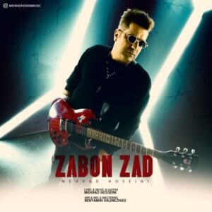 زبون زد - مهراد حسینی