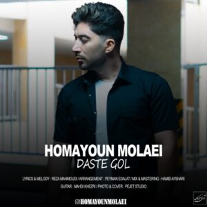 دست گل - همایون مولایی