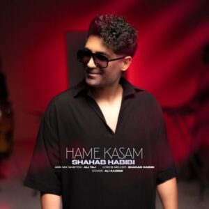 همه کسم - شهاب حبیبی