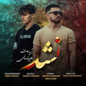دانلود آهنگ علیرضا سالمی  نشد