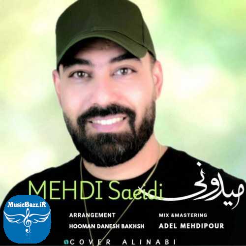 دانلود آهنگ مهدی سعیدی میدونی