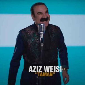 ته مه ن - عزیز ویسی