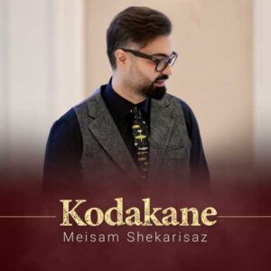 کودکانه - میثم شکری ساز