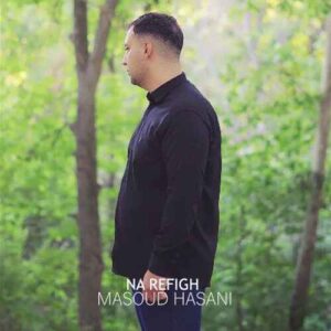 نارفیق - مسعود حسنی