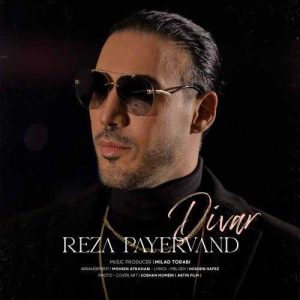 دیوار - رضا پایروند