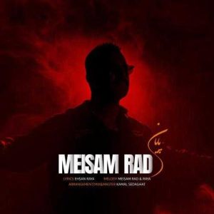 پایان - میثم راد
