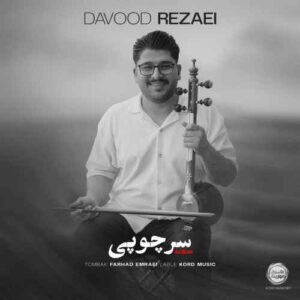 سر چوپی - داوود رضایی