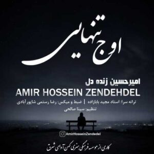 اوج تنهایی - امیرحسین زنده دل
