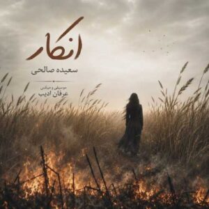 دانلود آهنگ سعیده صالحی انکار