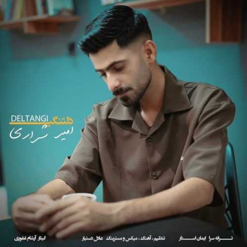 دانلود آهنگ امیر شراری دلتنگی