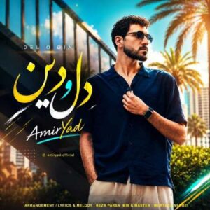 دل و دین - امیر یاد