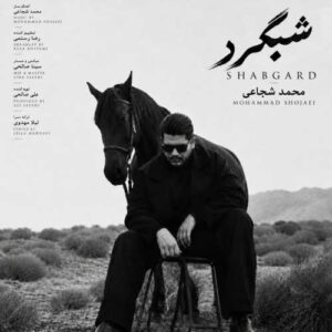 شبگرد - محمد شجاعی
